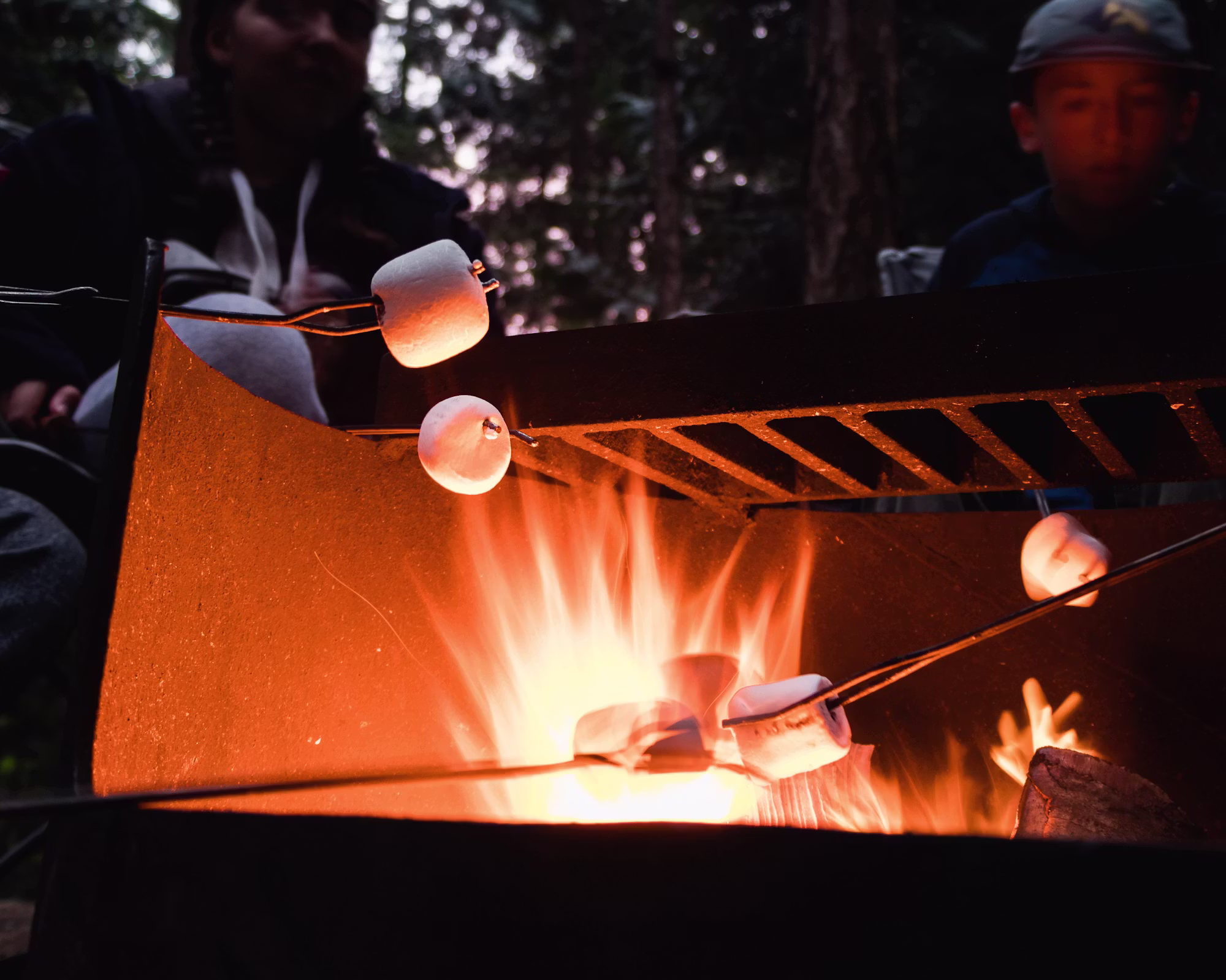Camping mit Freunden: Der ultimative Leitfaden für Gruppenabenteuer in der Natur